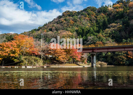 Kameyama See im Herbst, Chiba, Japan Stockfoto