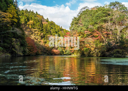 Kameyama See im Herbst, Chiba, Japan Stockfoto