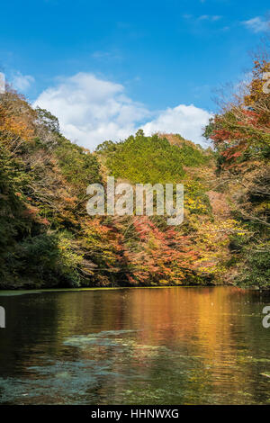 Kameyama See im Herbst, Chiba, Japan Stockfoto