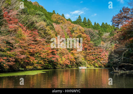 Kameyama See im Herbst, Chiba, Japan Stockfoto