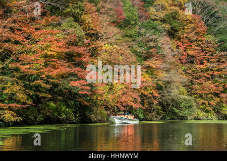 Kameyama See im Herbst, Chiba, Japan Stockfoto