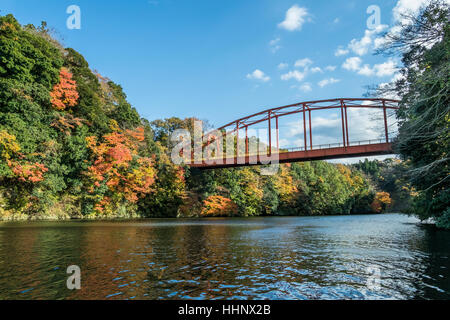 Kameyama Brücke im Herbst, Chiba, Japan Stockfoto