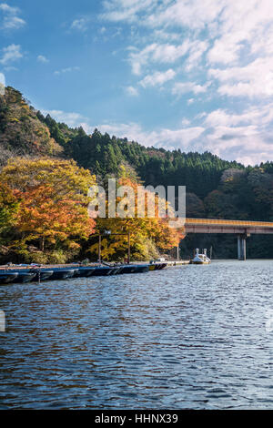 Kameyama See im Herbst, Chiba, Japan Stockfoto
