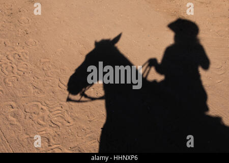 Schatten der Frau auf Pferd Stockfoto