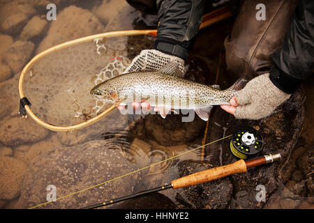 Kaukasischen Mann mit Fisch Stockfoto