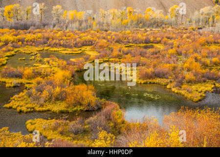 Herbstlaub Weiher Stockfoto