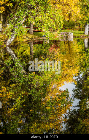 Reflection of trees in lake Stockfoto