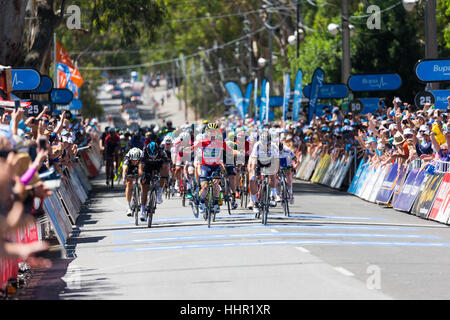 Adelaide, South Australia, Australien. 20. Januar 2017. Caleb Ewan (C), Orica Scott gewinnt aus Peter Sagan (R), BMC Racing Team in Phase 4 der Tour Down Under, Australien am 20. Januar 2017 Credit: Gary Francis/ZUMA Draht/Alamy Live News Stockfoto