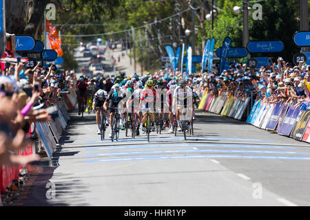 Adelaide, South Australia, Australien. 20. Januar 2017. Caleb Ewan (C), Orica Scott gewinnt aus Peter Sagan (R), BMC Racing Team in Phase 4 der Tour Down Under, Australien am 20. Januar 2017 Credit: Gary Francis/ZUMA Draht/Alamy Live News Stockfoto