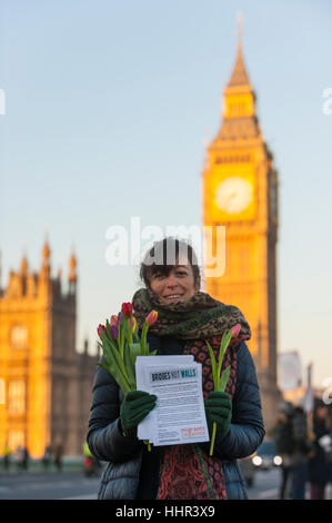 London, UK.  20. Januar 2017.  Ein Aktivist auf Westminster Bridge beteiligt sich an ein weltweites Ereignis namens "Brücken nicht Wände" am Tag der Einweihung von Donald Trump als US-Präsident, Solidarität und Widerstand gegen die rechtsextreme Politik aus westlichen Demokratien äußern.  In London haben Banner auf den Brücken über den Fluss Themse hing. © Stephen Chung / Alamy Live News Stockfoto