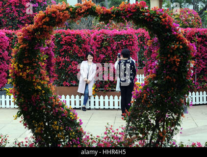 Haikou, China Provinz Hainan. 20. Januar 2017. Touristen fotografieren auf der 2. Hainan Tourismus Insel Bougainvillea Spectabilis Weltausstellung in Haikou, der Hauptstadt der Provinz Süd-China Hainan, 20. Januar 2017. Bildnachweis: Yang Guanyu/Xinhua/Alamy Live-Nachrichten Stockfoto