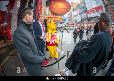 New York, USA. 20. Januar 2017. Touristen posieren für Fotos mit eine Wachsfigur von Präsident Donald Trump vor Madame Tussauds Wachsfigurenkabinett am Times Square nach der Einweihung des Trump als 45. Präsident der Vereinigten Staaten auf Freitag, 20. Januar 2017. (© Richard B. Levine) Bildnachweis: Richard Levine/Alamy Live-Nachrichten Stockfoto