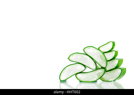 Schneiden Sie Aloe Vera (Aloe Barbadensis Mill., Star Kakteen, Aloe, Aloin, Jafferabad oder Barbados) eine sehr nützliche Kräutermedizin für Hautpflege und Haarpflege. Stockfoto