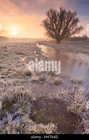 Ein nebliger Sonnenaufgang über eine gefrorene Landschaft nördlich von Amsterdam in den Niederlanden. Stockfoto