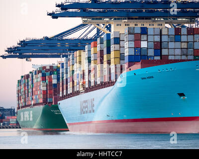 Hafen von Felixstowe internationalen Handel UK-Schiffe verladen und in Felixstowe, größten Containerhafen Großbritanniens entladen. Stockfoto