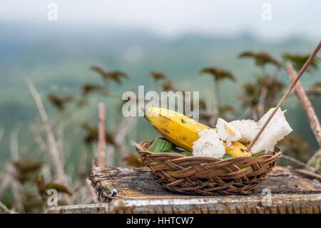 Gaben an die Götter, mit Bananen und Reis, Mont Batur, Bali, Indonesien Stockfoto