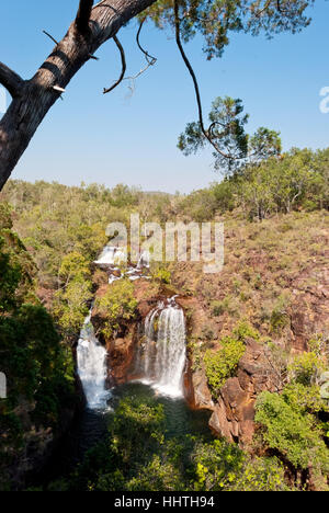 Wasserfall im Litchfield National Park, Australien Stockfoto