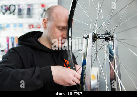 Fahrradmechaniker Zentrierung ein Hinterrad in seiner Werkstatt. Stockfoto