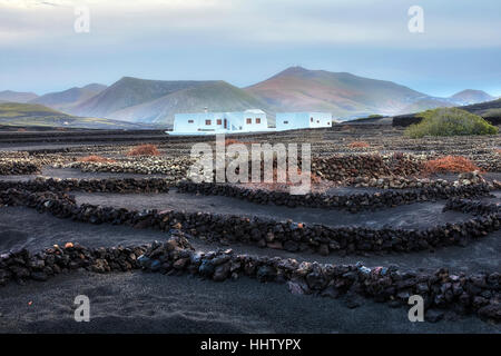 Weingut, La Geria, Lanzarote, Kanarische Inseln, Spanien Stockfoto