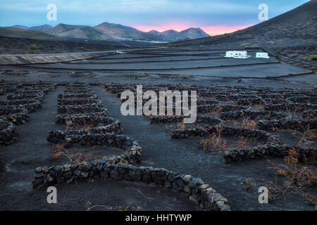 Weingut, La Geria, Lanzarote, Kanarische Inseln, Spanien Stockfoto