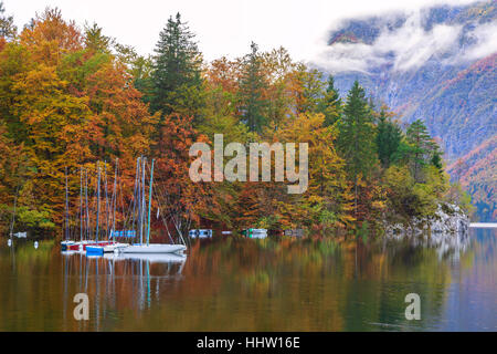 Wunderschöne Herbstlandschaft am Bohinj See, Nationalpark Triglav, Julischen Alpen, Slowenien Stockfoto