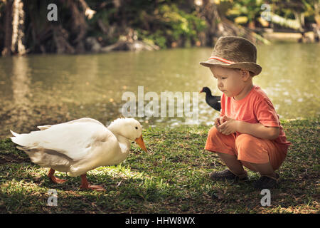 Junge und Gänse in der Nähe von See. Mauritius Stockfoto