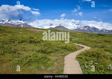 Holzsteg im Skaftafell-Nationalpark in Island Stockfoto