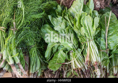 Frisches Gemüse zum Verkauf an Ballarò-Markt in Palermo Stockfoto