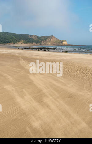 Windiger Tag mit Sand weht über den Strand von Cayton Bay an der Küste von North Yorkshire, England. Stockfoto