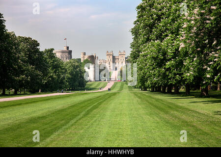 Windsor Castle aus dem langen Spaziergang, Berkshire, England, UK Stockfoto