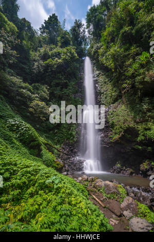 Laang Melanting, Wasserfall im Dschungel, Munduk, Bali, Indonesien Stockfoto