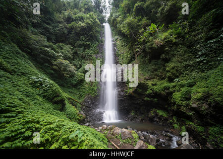 Laang Melanting, Wasserfall im Dschungel, Munduk, Bali, Indonesien Stockfoto