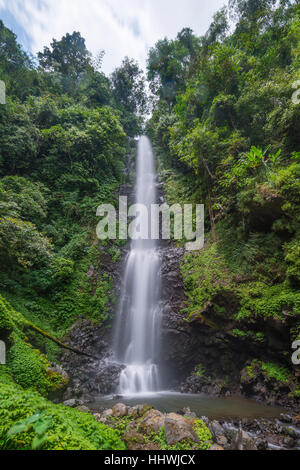 Laang Melanting, Wasserfall im Dschungel, Munduk, Bali, Indonesien Stockfoto