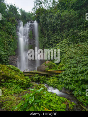 Munduk Wasserfall im Dschungel, Munduk, Bali, Indonesien Stockfoto