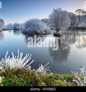 Bäume bedeckt mit Raureif, Fluss Eder im Winter, Bad Wildungen, Hessen, Deutschland Stockfoto
