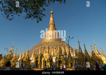 Shwedagon Zedi Daw, Shwedagon-Pagode, Yangon, Myanmar Stockfoto