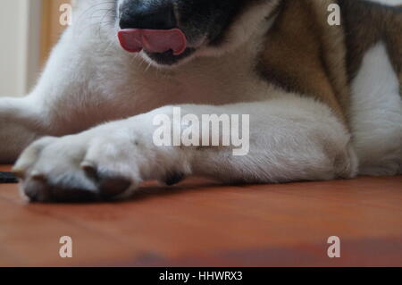 Mir schmecken Stockfoto