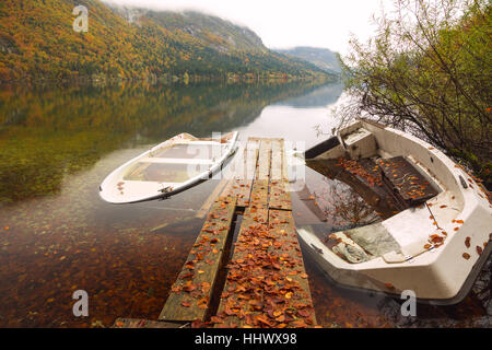 Wunderschöne Herbstlandschaft am Bohinj See, Nationalpark Triglav, Julischen Alpen, Slowenien Stockfoto