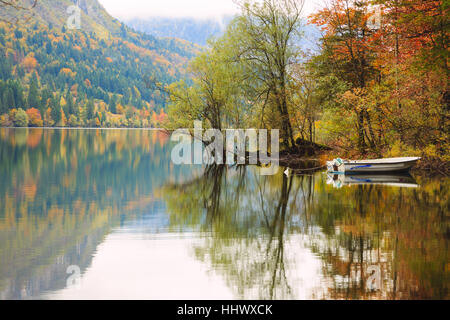 Wunderschöne Herbstlandschaft am Bohinj See, Nationalpark Triglav, Julischen Alpen, Slowenien Stockfoto