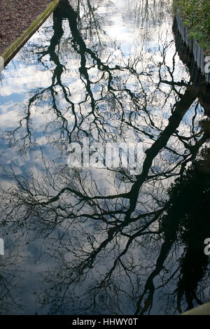 Hackney. Woodberry Down Feuchtgebiete - Reflexion Stockfoto