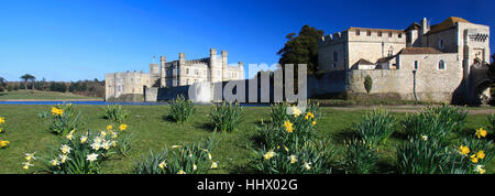 Frühlingsblumen Sie Narzissen bei Leeds Castle, Kent, England, UK Stockfoto