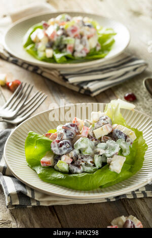 Hausgemachte frische Waldorfsalat mit Äpfeln, Trauben und Dressing Stockfoto