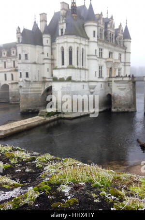 Blick auf Château de Chenonceau im Winter mit Moos im Vordergrund. Stockfoto