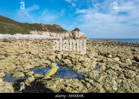 Felsige Ufer bei Thronwick Bucht an der Küste von North Yorkshire. Stockfoto