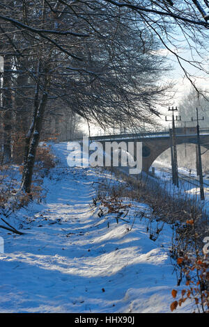 Railroad Tracks führen unter der Brücke und durch den Wald im winter Stockfoto