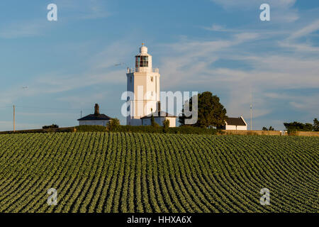 North Foreland Leuchtturm hinter Kohl Feld nr Broadstairs auf der Küste von Kent Stockfoto