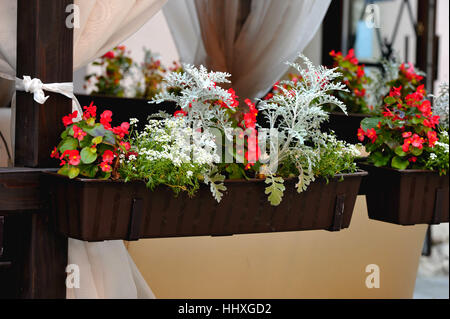 Blumen in den Fenstern. Blumen schmücken die Fenster der Häuser. Sie sind hell, bunt seine Schönheit zu bewundern. Angenehm für die Augen. Stockfoto