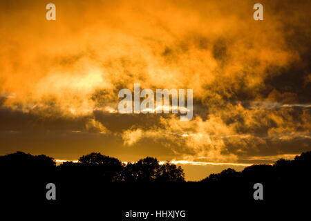 Feurige Sonnenuntergang glühende Wolken gegen Bäume Old Basing Basingstoke Hampshire Stockfoto