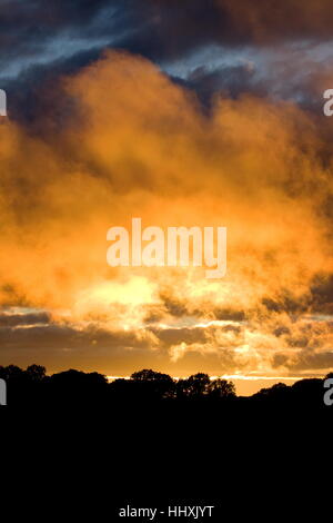 Feurige Sonnenuntergang glühende Wolken gegen Bäume Old Basing Basingstoke Hampshire Stockfoto