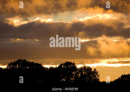 Feurige Sonnenuntergang glühende Wolken gegen Bäume Old Basing Basingstoke Hampshire Stockfoto